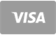 Visa card deposit accepted at SpinGranny Casino